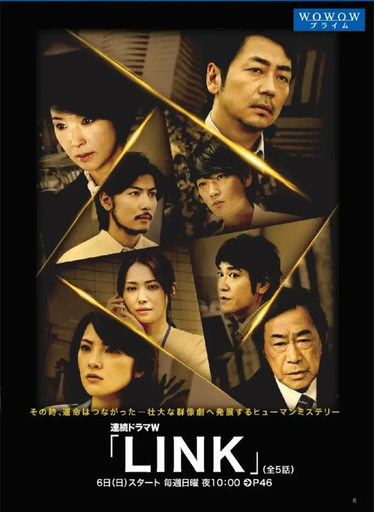 《LINK》全集高清完整版在线观看与剧情解析