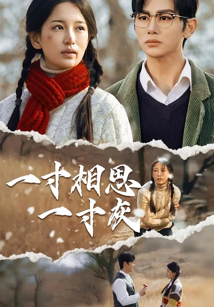 《一寸相思一寸灰》全集高清完整版在线观看与剧情解析