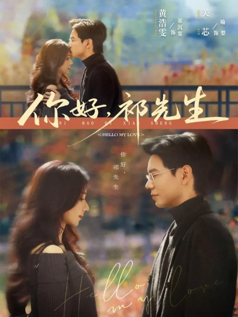 《你好,祁先生》全集高清完整版在线观看与剧情解析