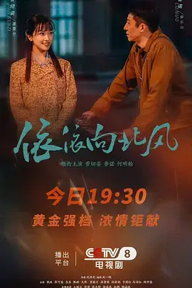 《依依向北风》全集高清完整版在线观看与剧情解析