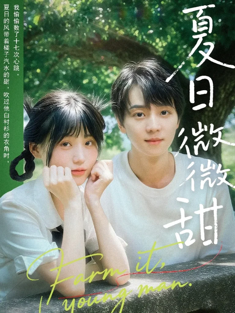 《夏日微微甜》全集高清完整版在线观看与剧情解析