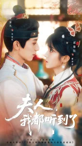 夫人,我都听到了