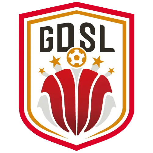 广东省足球超级联赛 深圳艺品高vs梅州强民20251129