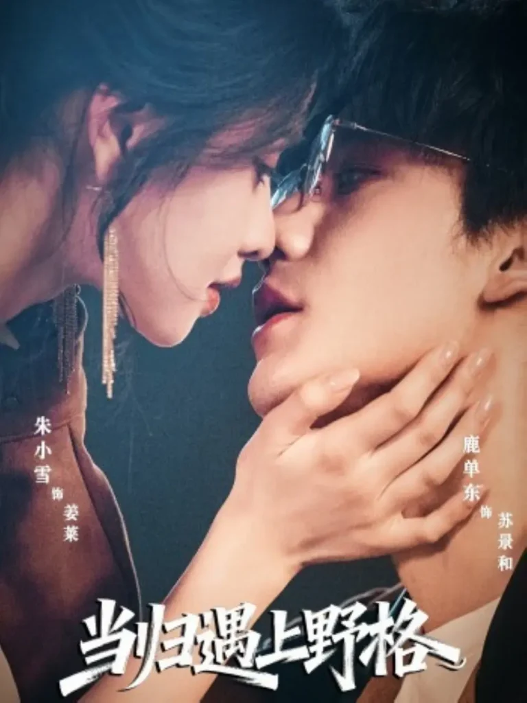 《当归遇上野格》全集高清完整版在线观看与剧情解析