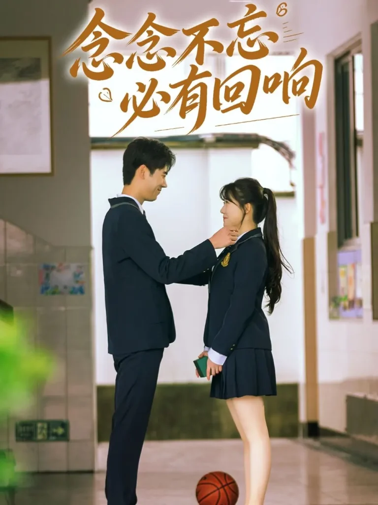 《念念不忘,必有回响》全集高清完整版在线观看与剧情解析