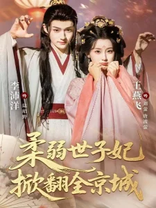 柔弱世子妃掀翻全京城