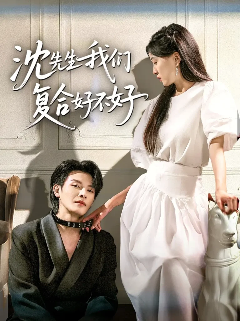 《沈先生我们复合好不好》全集高清完整版在线观看与剧情解析