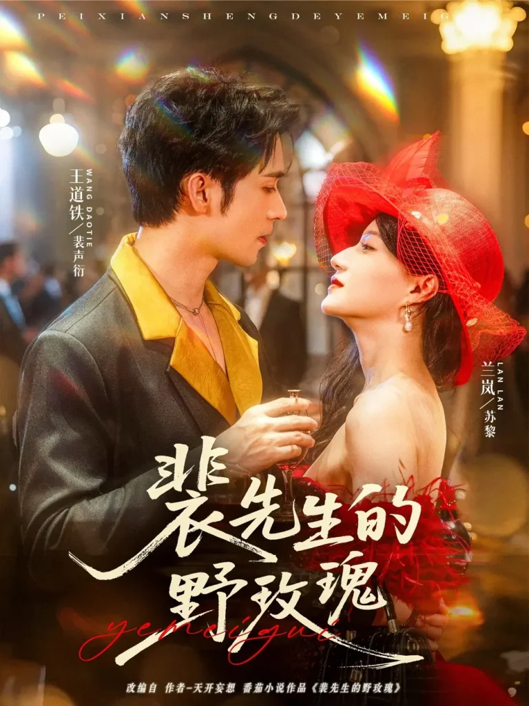 《裴先生的野玫瑰》全集高清完整版在线观看与剧情解析