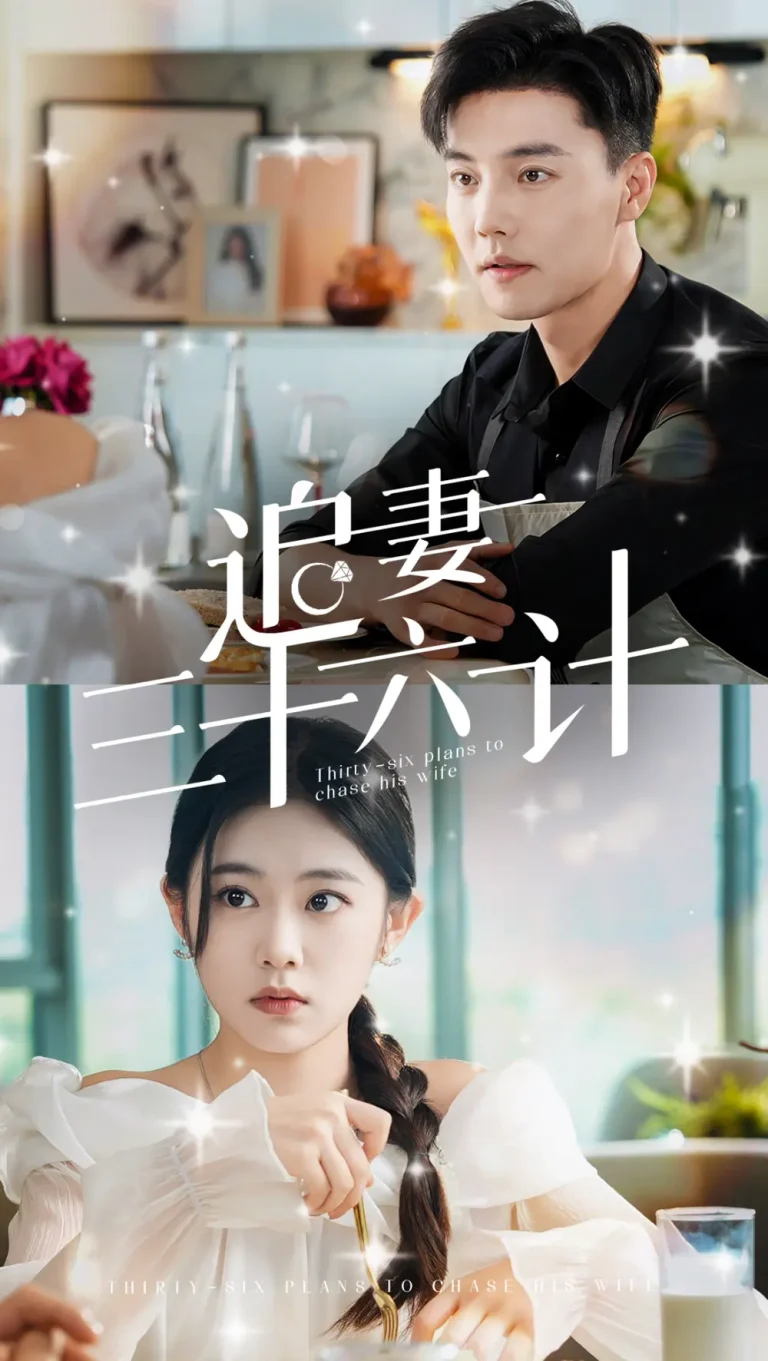 《追妻三十六计》全集高清完整版在线观看与剧情解析