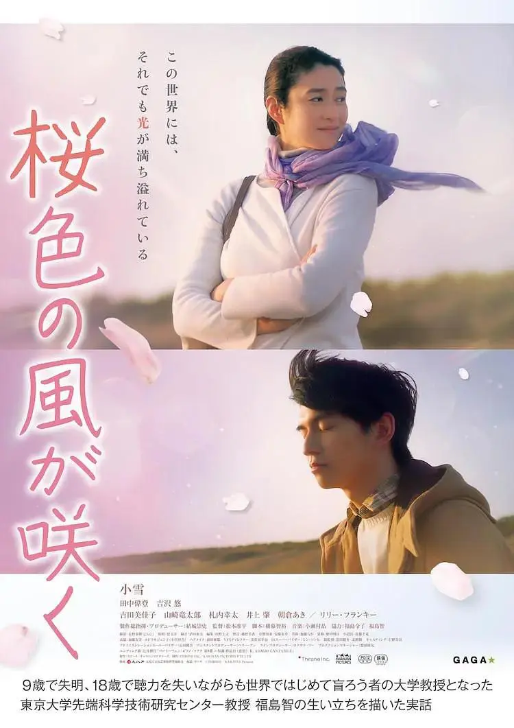 《风临樱花开》全集高清完整版在线观看与剧情解析